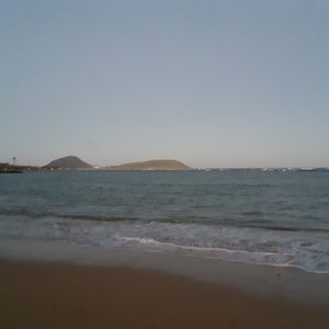 Meet your Posher, Dolly